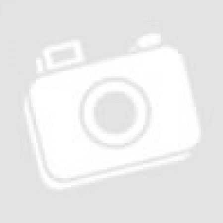 Video camera DI-7004VFir